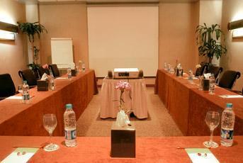 Sheraton & Towers Hotel 5*